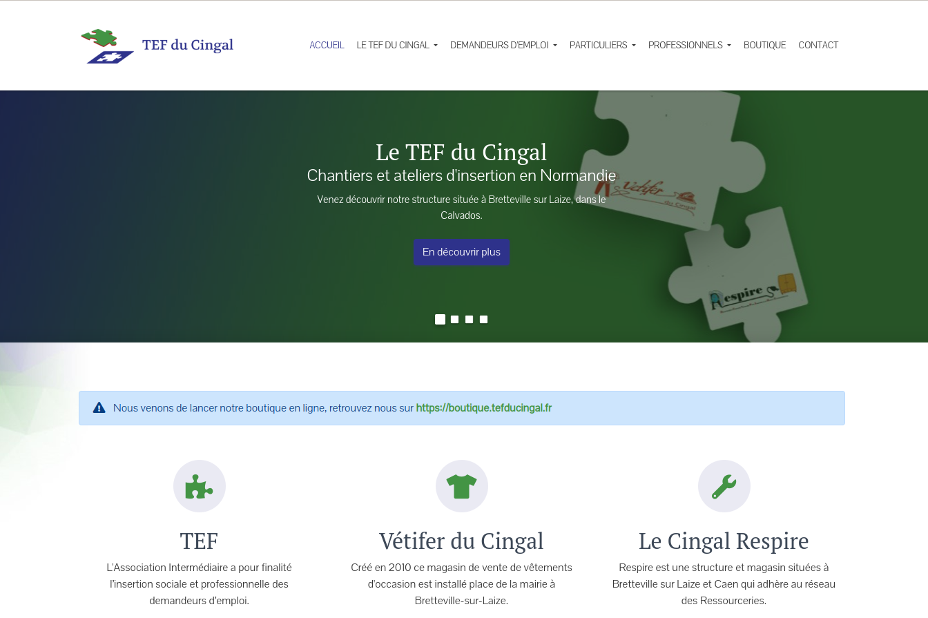 Page d'accueil du site internet du TEF